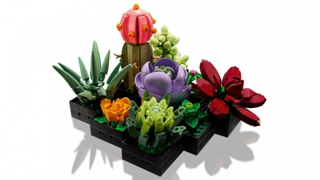 LEGO Botanické ikony 10309 Sukulenty