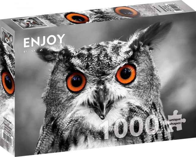 Puzzle Zvědavá sova 1000 dílků