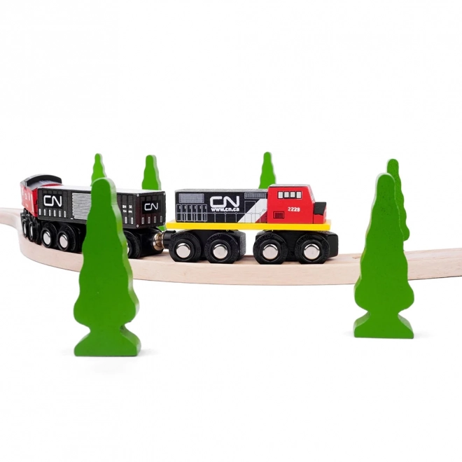 CN Train Kanadská železnice