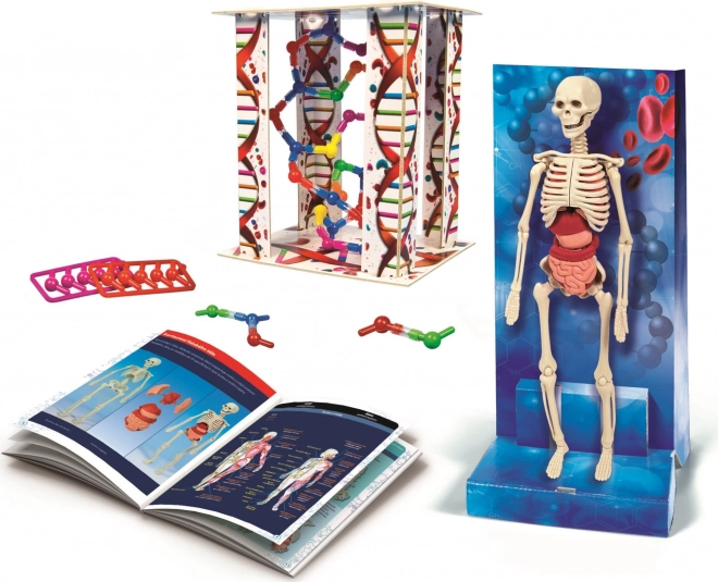 Clementoni Science&Play laboratoř lidské tělo