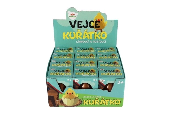 Líhnoucí se kuřátko ve vejci