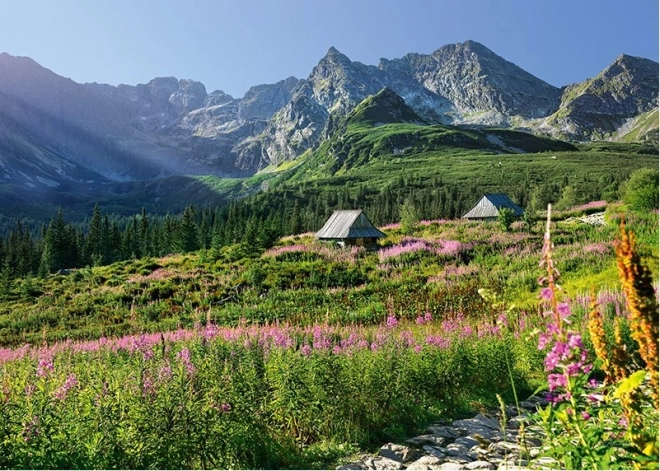 Puzzle Gąsienicowa dolina Vysoké Tatry 1000 dílků