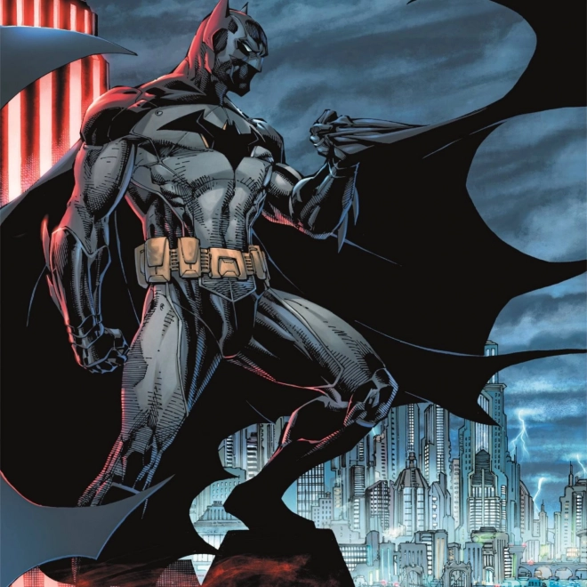 Puzzle Batman: Temný ochránce 300 dílků
