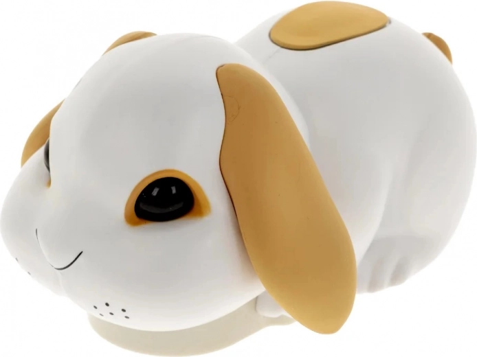 Neposedný králíček, který rozpohybuje zábavu