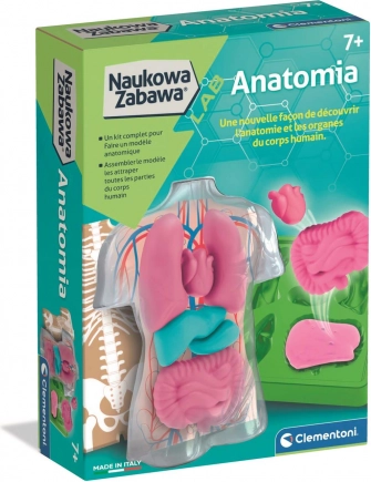 Vzdělávací sada anatomie CLEMENTONI