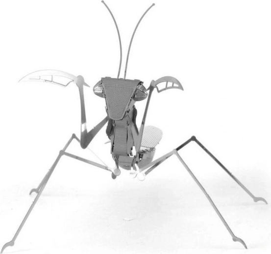 Dekorace, která zaujme na první pohled