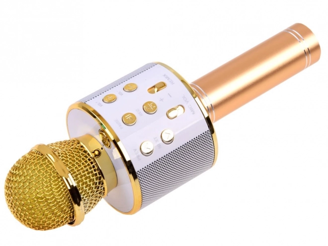 Bezdrátový karaoke mikrofon s reproduktorem – Zlatá