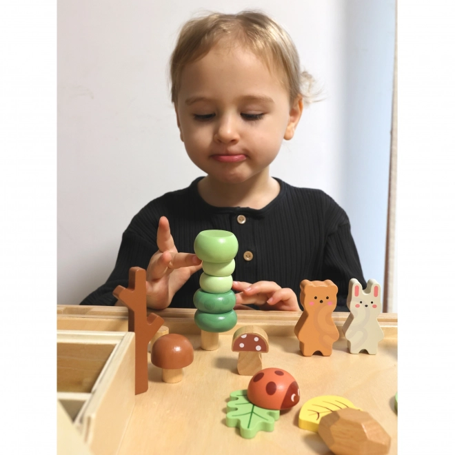 Lesní sada s dřevěnými kostkami Tooky Toy