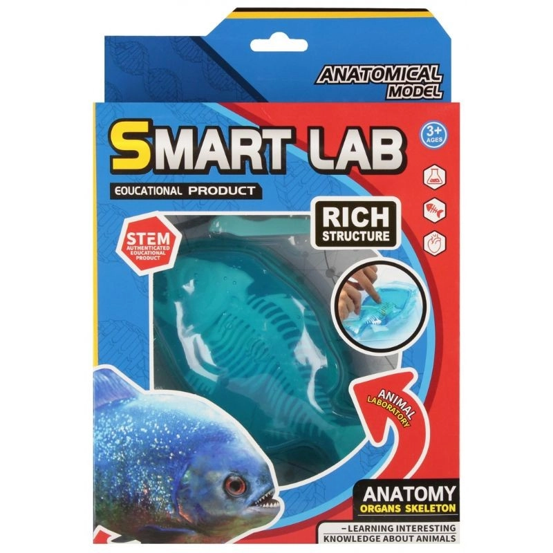 Vědecká sada anatomie – ryba