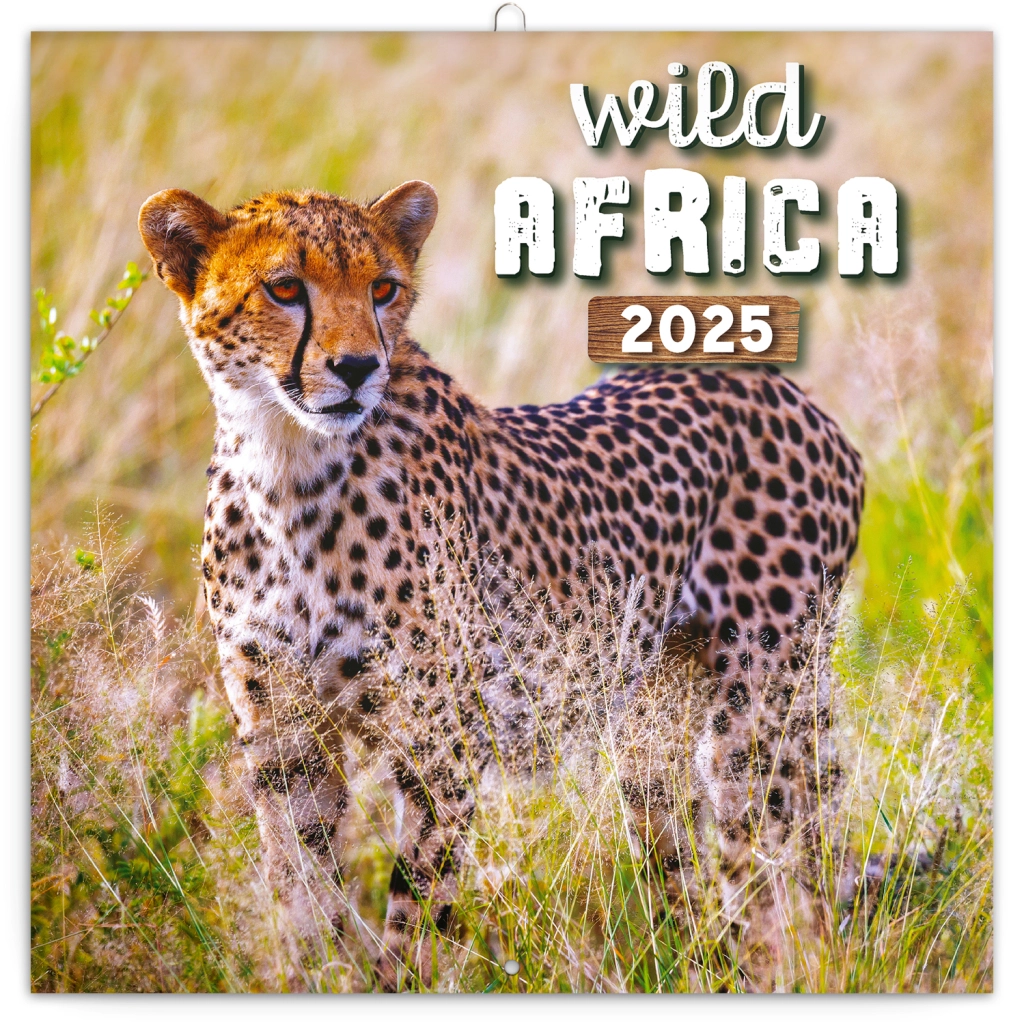 Levně Divoká Afrika nástěnný 2025