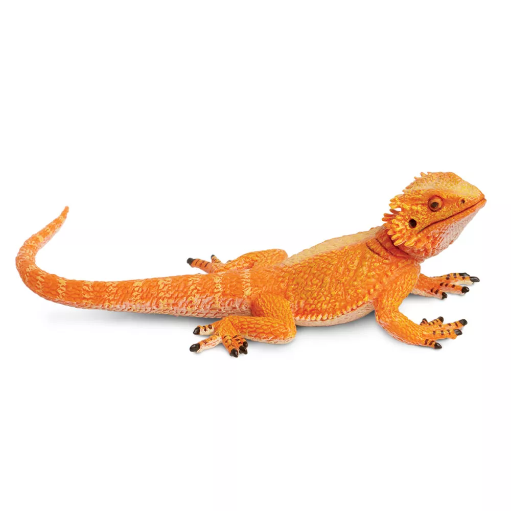 Figurka agamy vousaté Safari Ltd.
