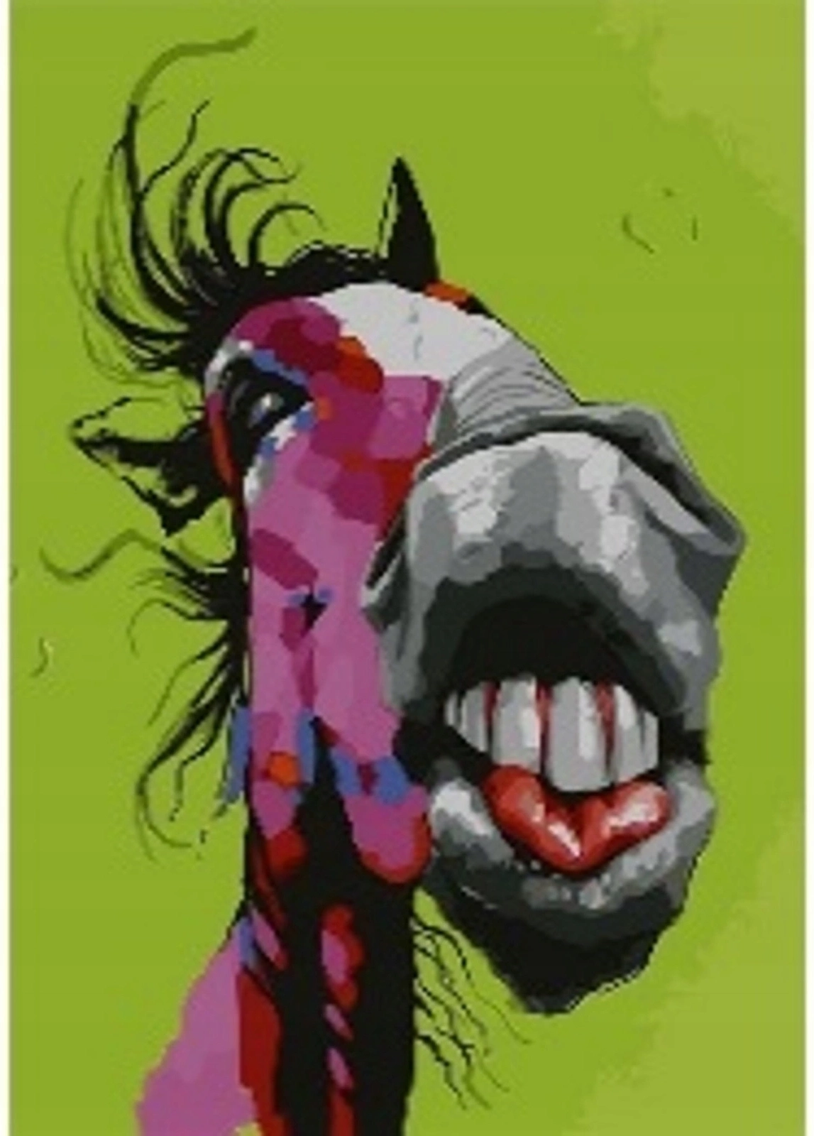 Norimpex Malování podle čísel Crazy Horse 40 × 50 cm