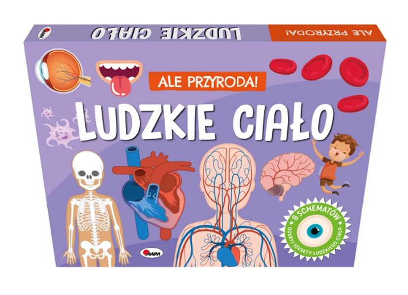 Ale przyroda! Lidské tělo – prostorová kniha s okénky