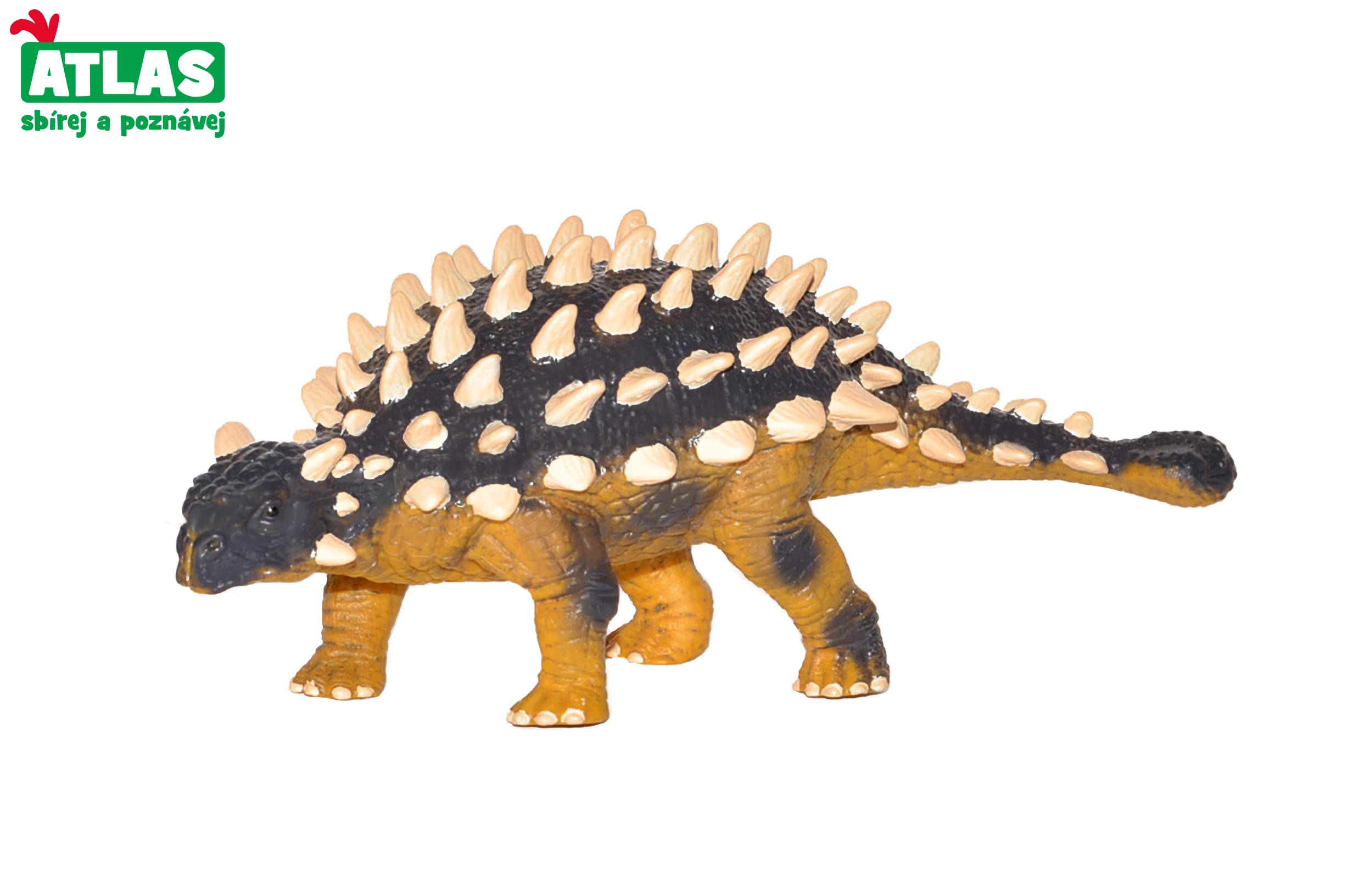 Levně Atlas D Dino Saichania 15cm