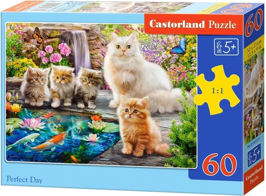 Castorland puzzle Perfektní den 60 dílků