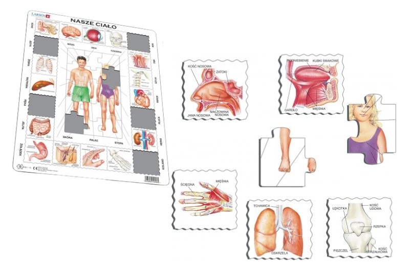 Larsen naše tělo maxi vzdělávací puzzle