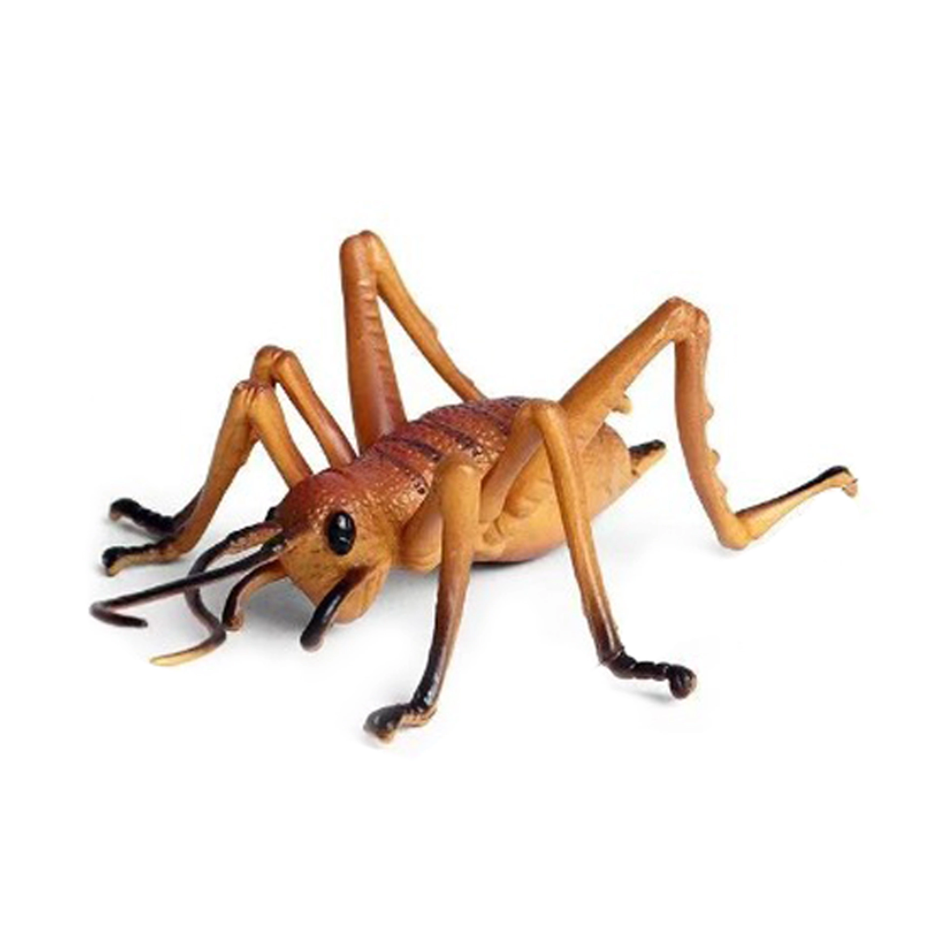 Plastový cvrček 10 cm