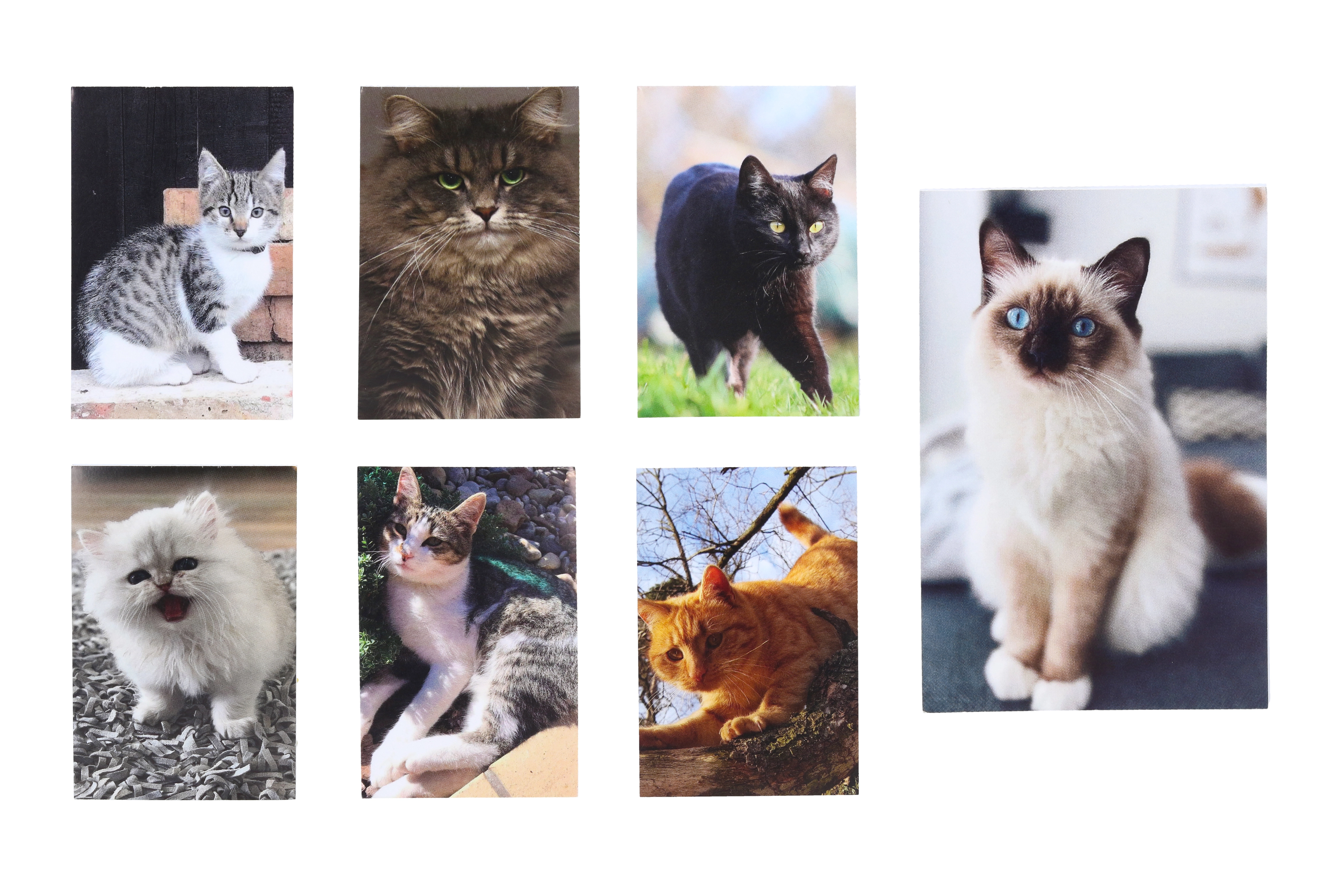 Wiky Notes lepený Pes MINI 6 x 8,5 cm 40 listů