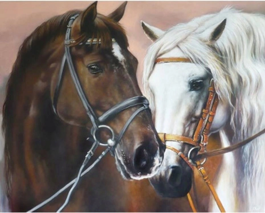 Norimpex Malování podle čísel objímající se koně 40 × 50 cm