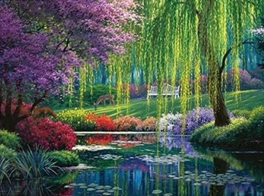 NORIMPEX Malování podle čísel Zelený park u vody 40 × 50 cm