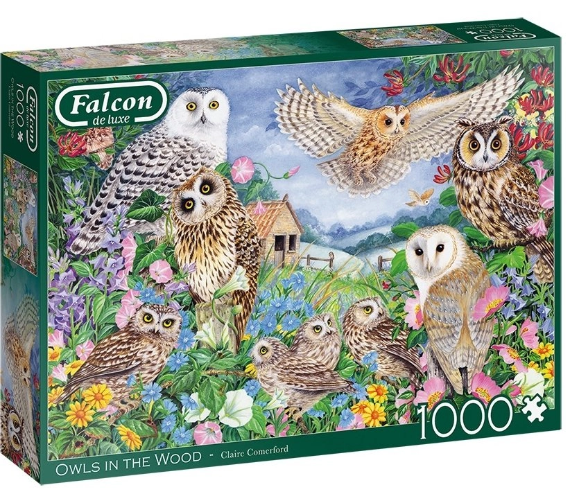 Falcon Sovy v lese 1000 dílků