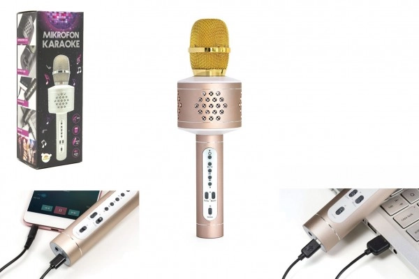 Levně Teddies Mikrofon karaoke Bluetooth zlatý na baterie s USB kabelem
