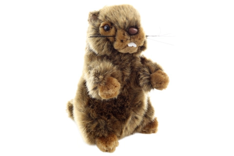 plyšový svišť eco-friendly 18 cm