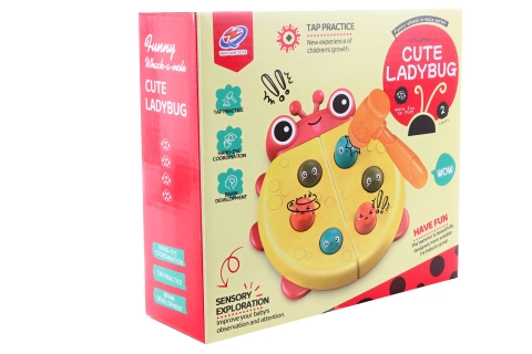 Zatloukačka beruška