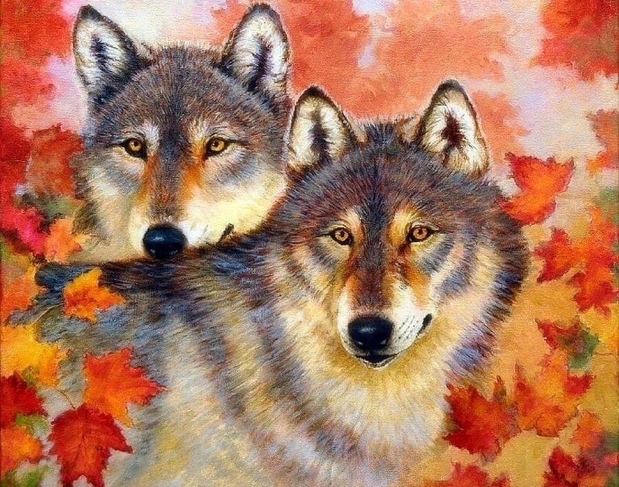 Norimpex malování podle čísel Vlk a vlčice 40 × 50 cm