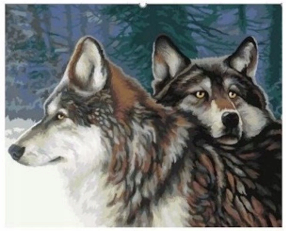 Malování podle čísel Vlci v lese 40 × 50 cm