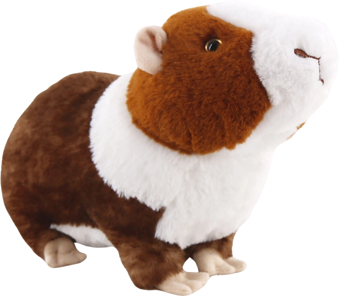Levně Morče 30 cm