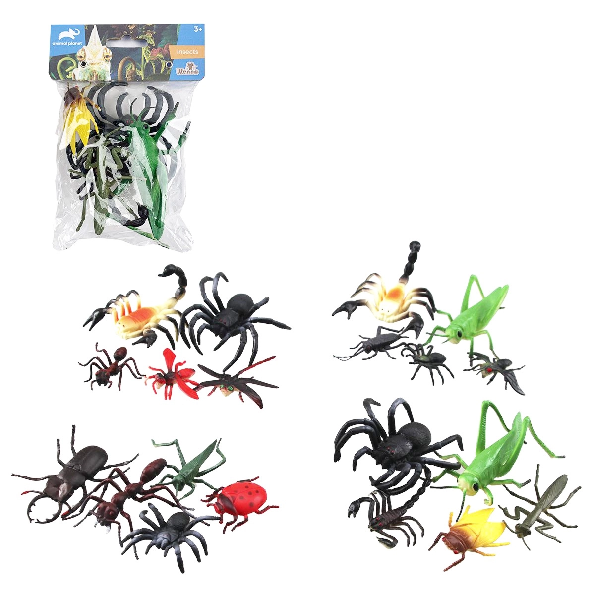 Sada hmyzu – 5 kusů