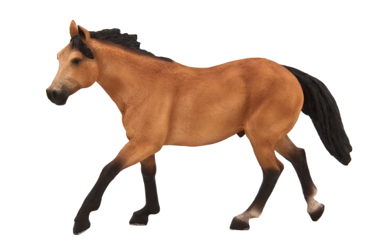 Mojo Kůň plavák