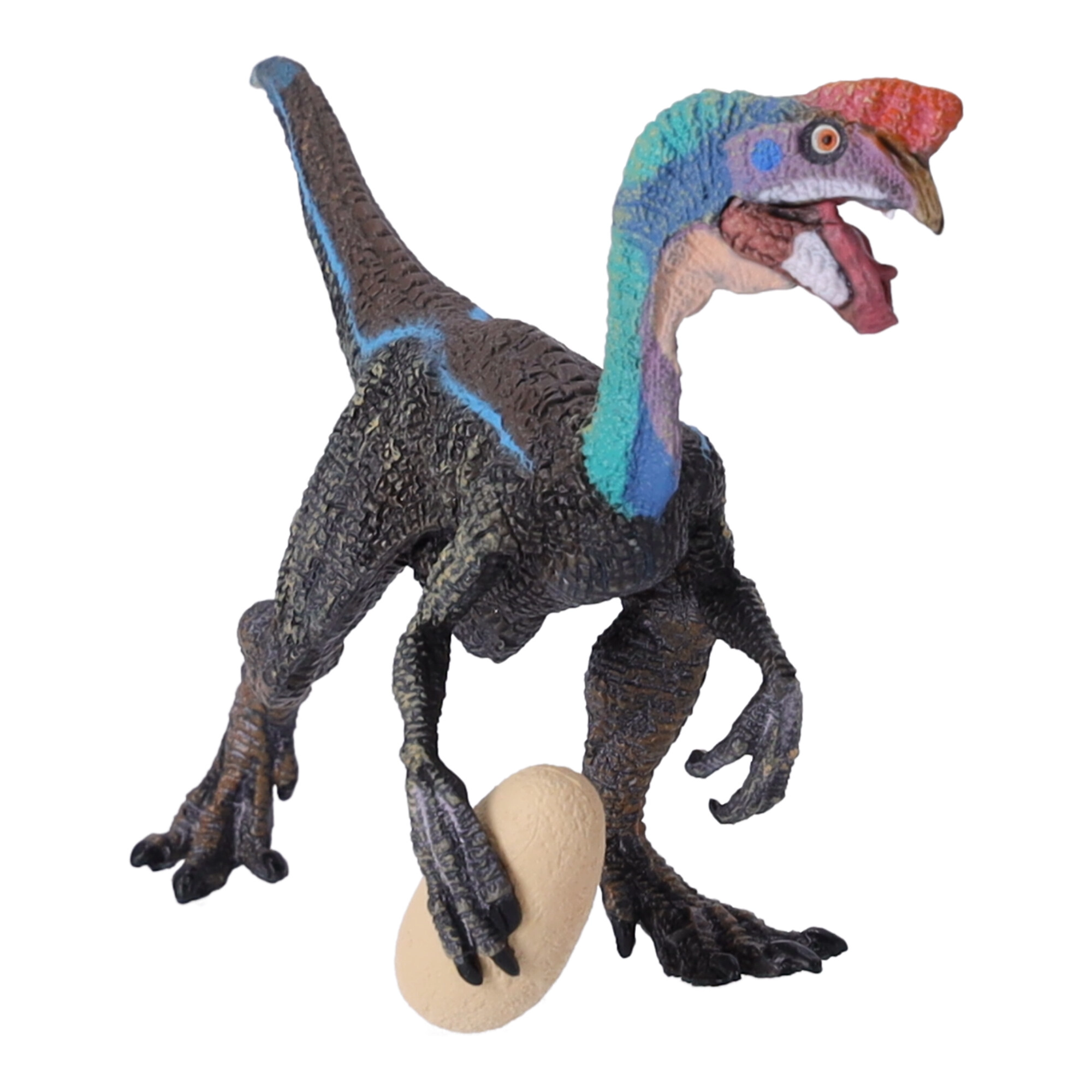 Oviraptor modrý -  Autor Neuveden