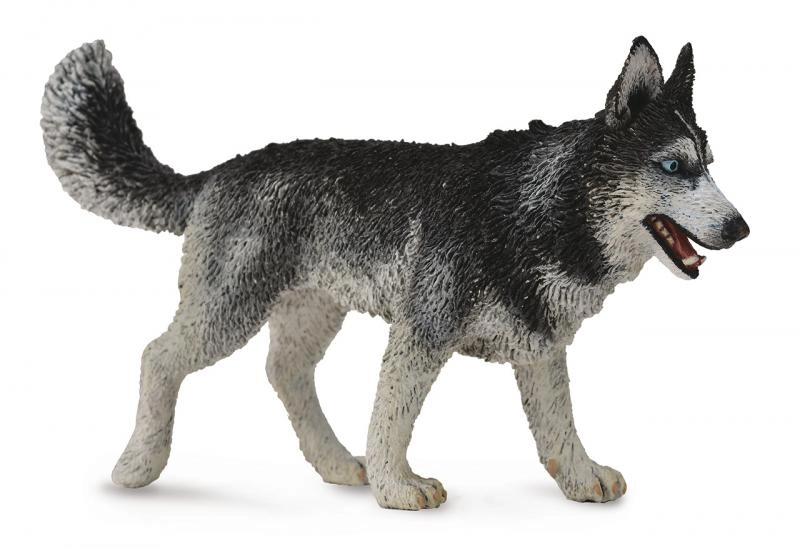 Sibiřský husky figurka