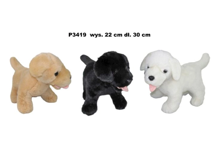 Pies P-3419