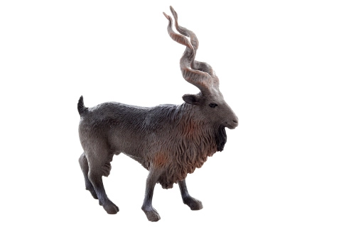 Figurka kozy šrouborohé – realistický model pro děti a sběratele