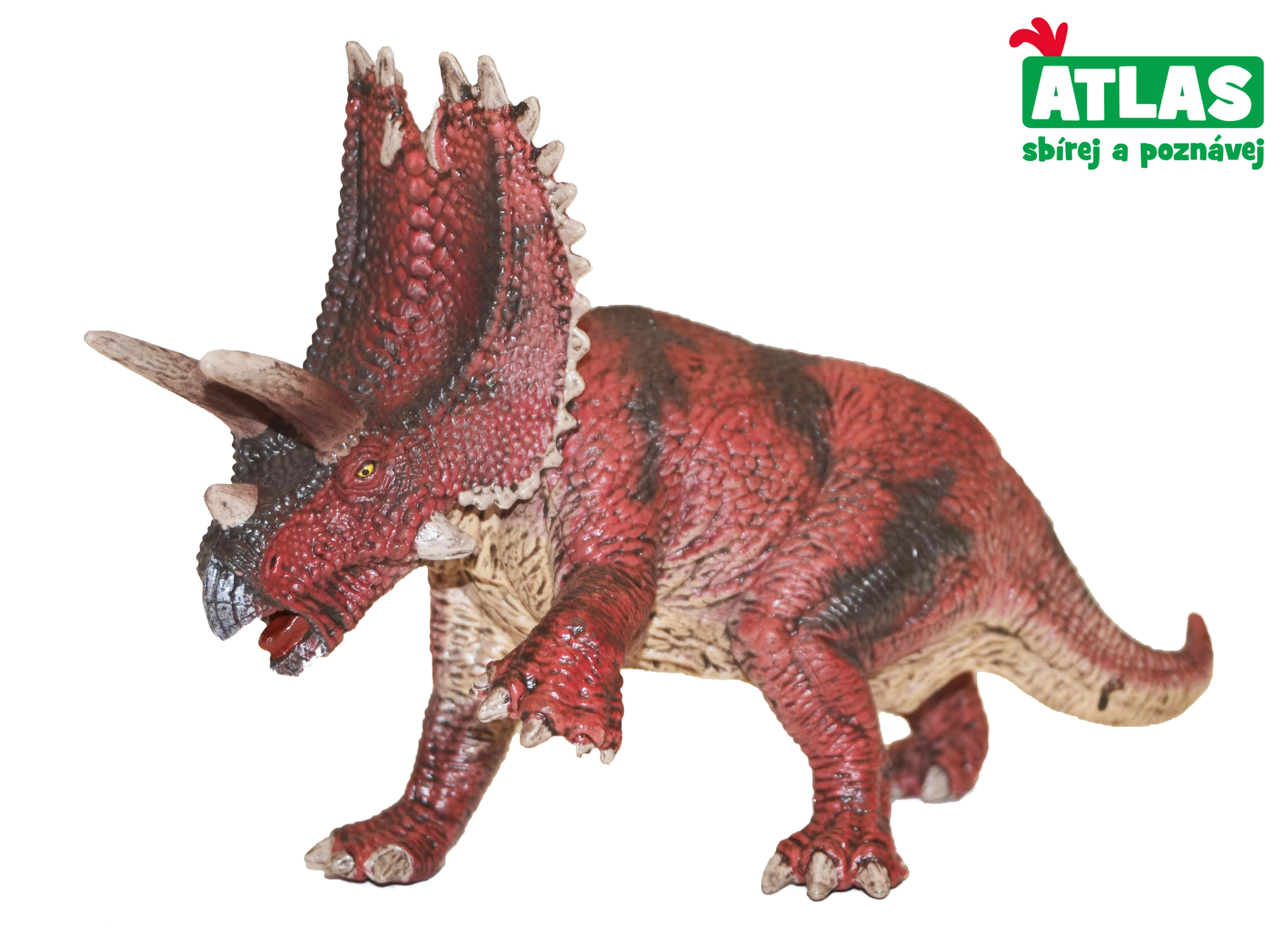 Levně Atlas F Dino Pentaceratops 17 cm