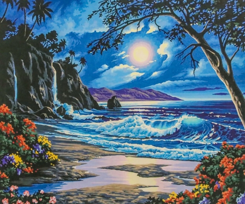 Norimpex Malování podle čísel Ráj v noci 40 × 50 cm
