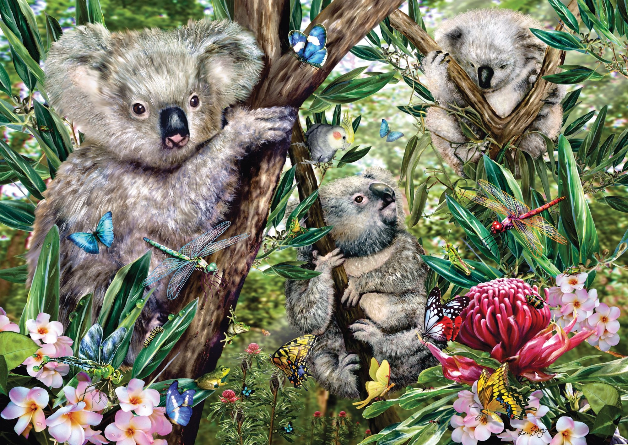 SCHMIDT Koalí rodinka 500 dílků