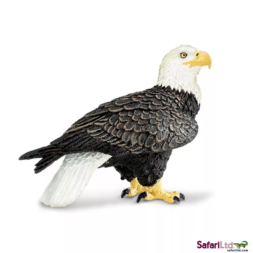 Safari Ltd. orel bělohlavý