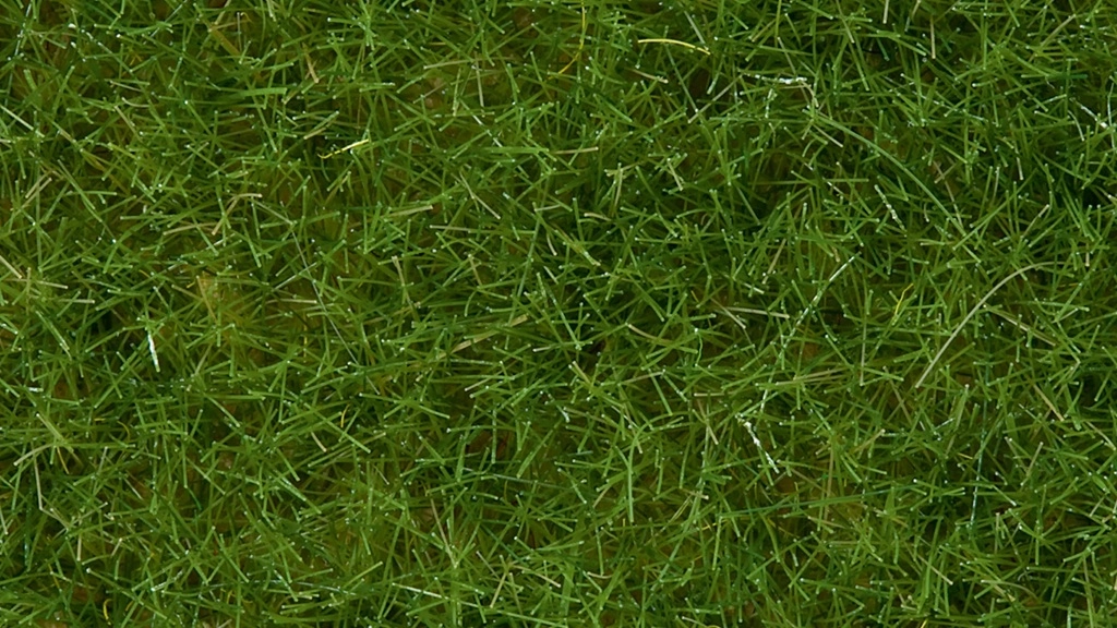 Noch Statická tráva divoká světle zelená 6 mm