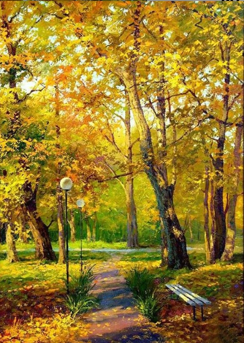 Norimpex malování podle čísel Zlatý podzim v lese 40 × 50 cm