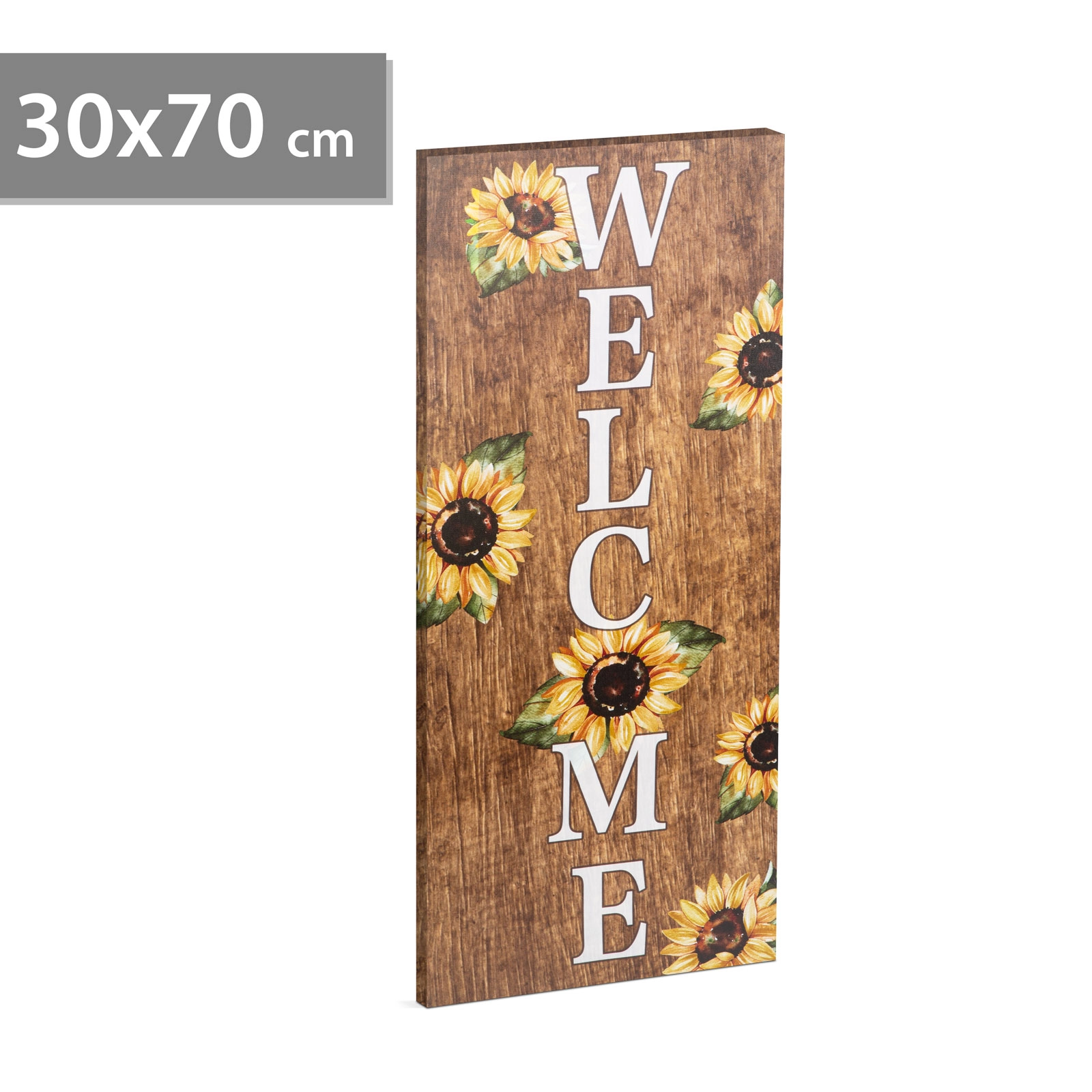 LED obraz Welcome s nástěnným závěsem