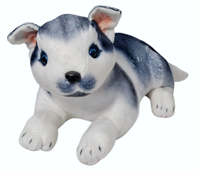 Plyšový pes husky