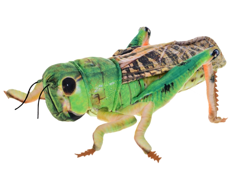 Plyšová kobylka 40 cm – zelená