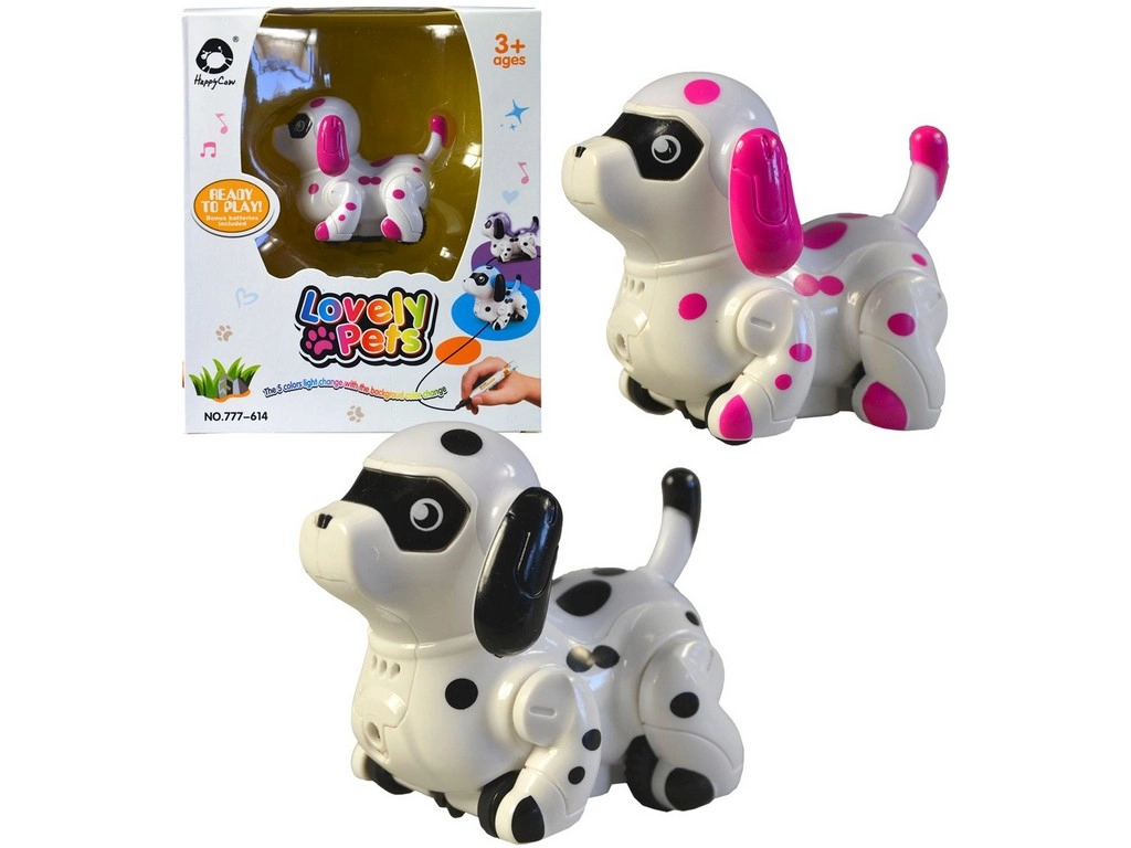 Pejsek jezdící po namalované čáře