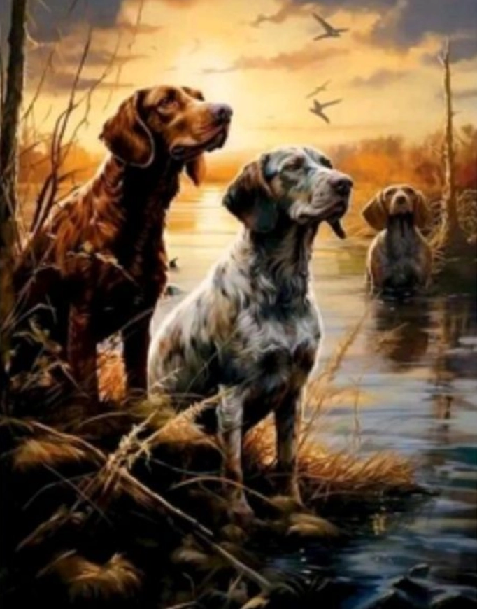 Diamantové malování Mokřady 30 × 40 cm