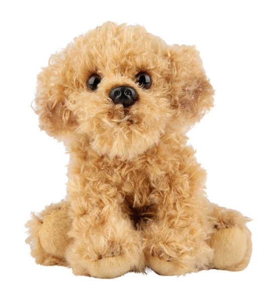 Plyšový pes Labradoodle