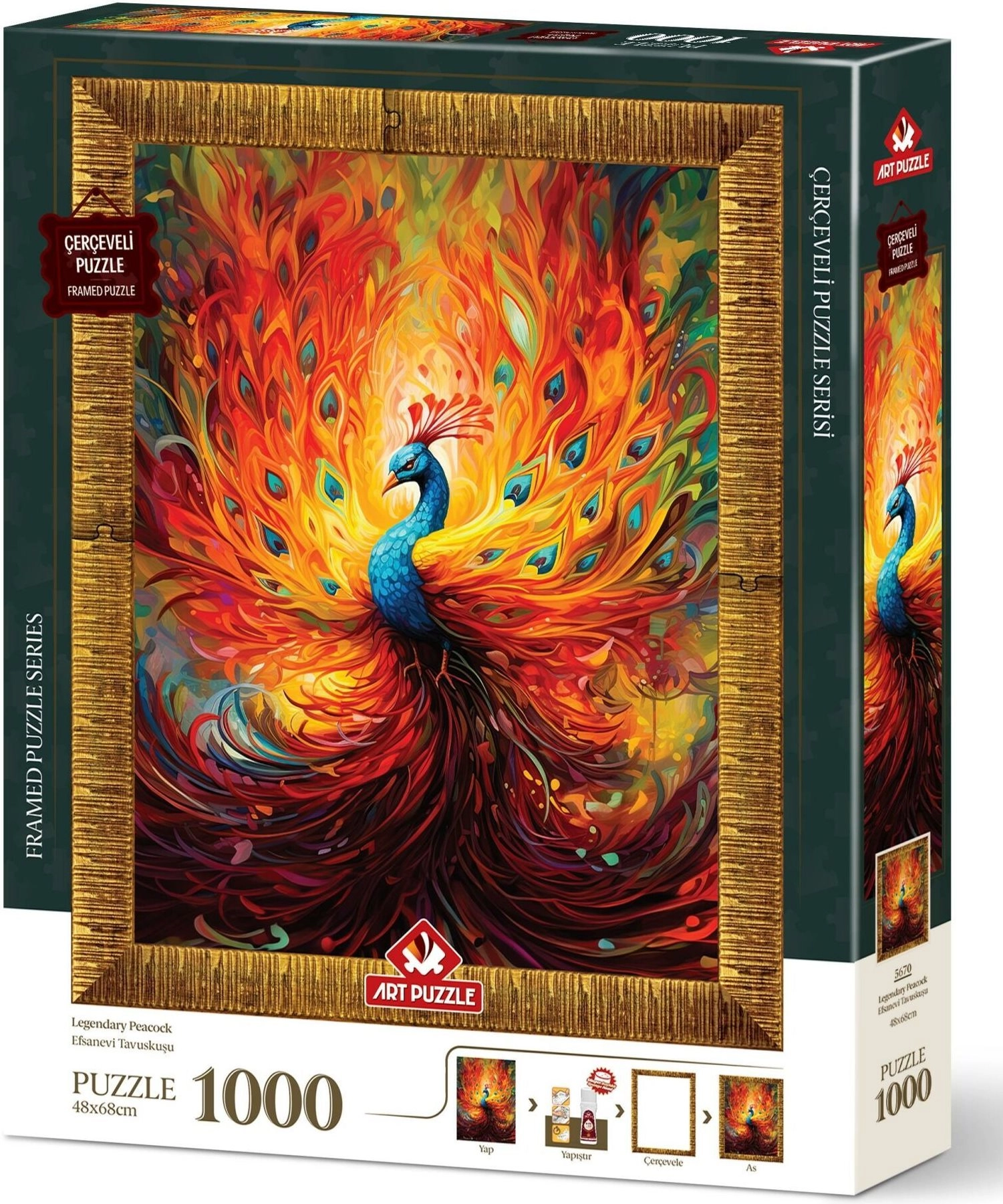 Puzzle s rámečkem a lepidlem Barevný páv 1000 dílků